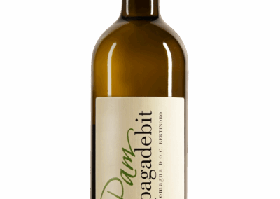 Pagadebit Romagna Doc Bertinoro